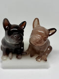 Lot de 2 Bulldogs
