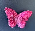 Magnet Papillon