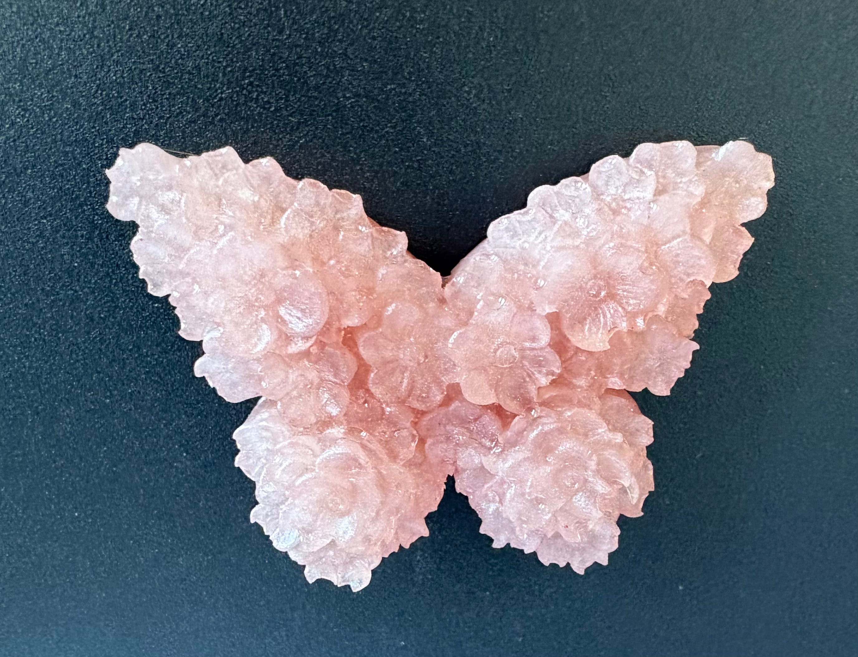 Magnet Papillon