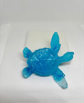 Tortue