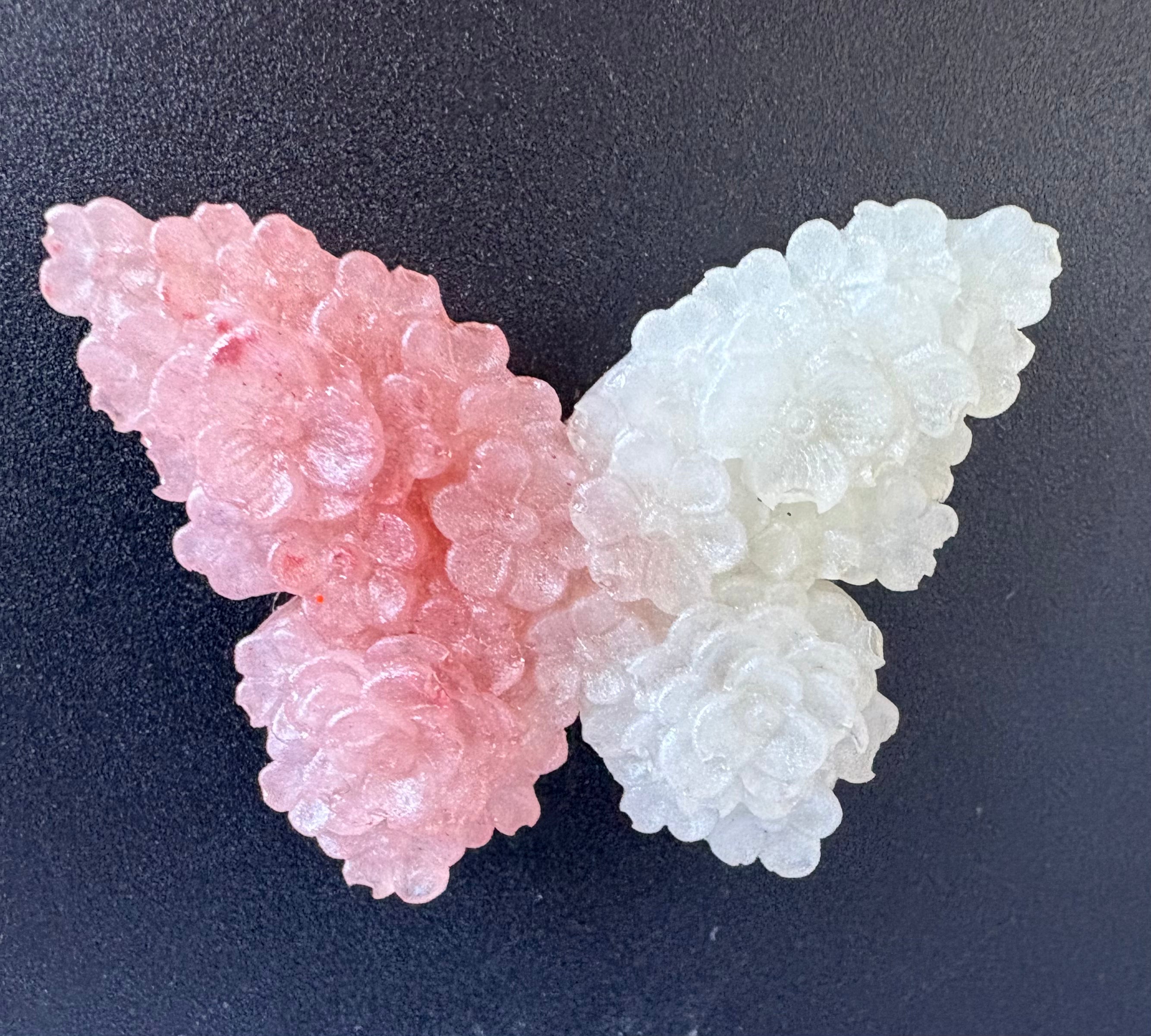 Magnet Papillon