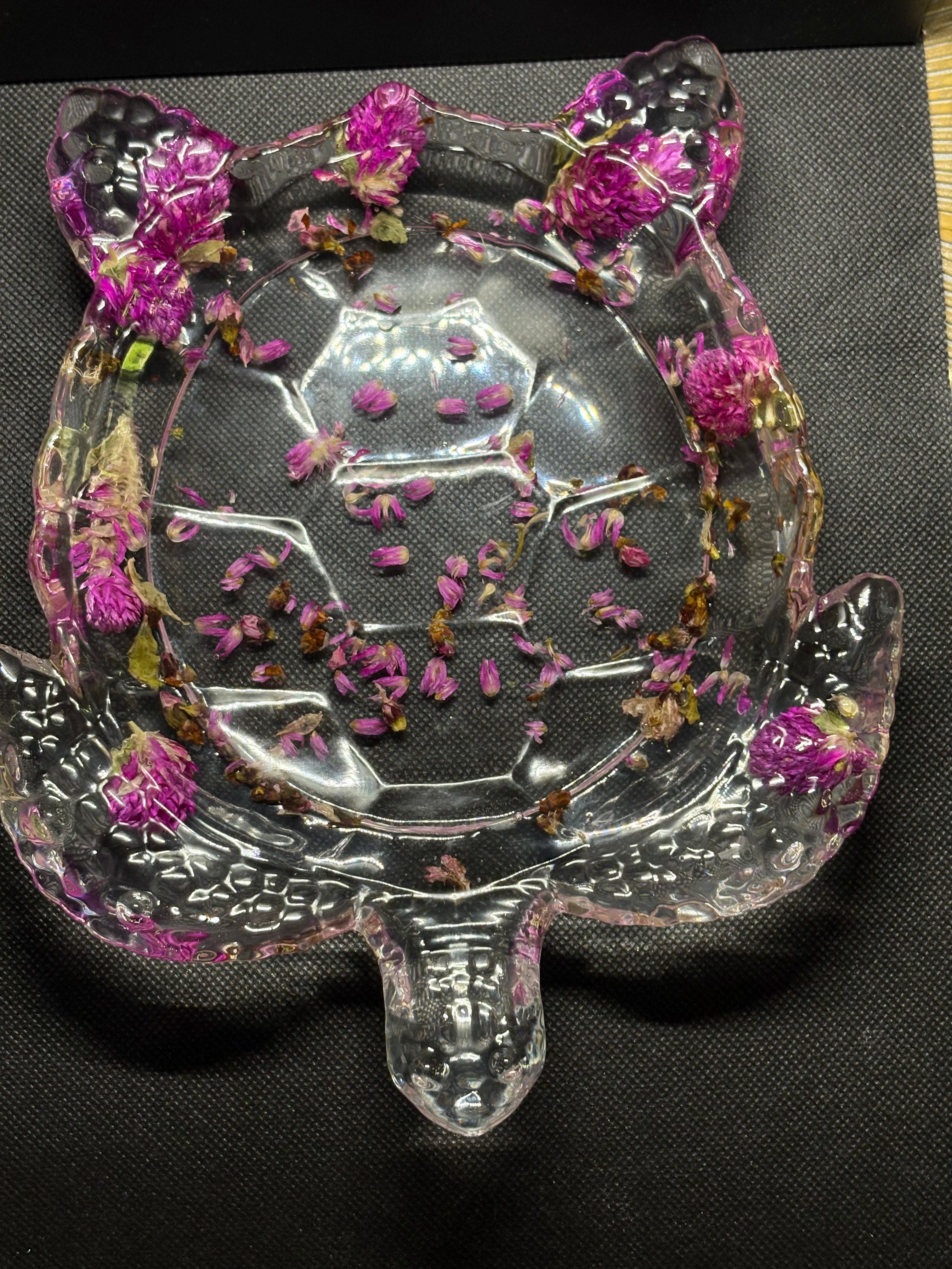 Plateau tortue