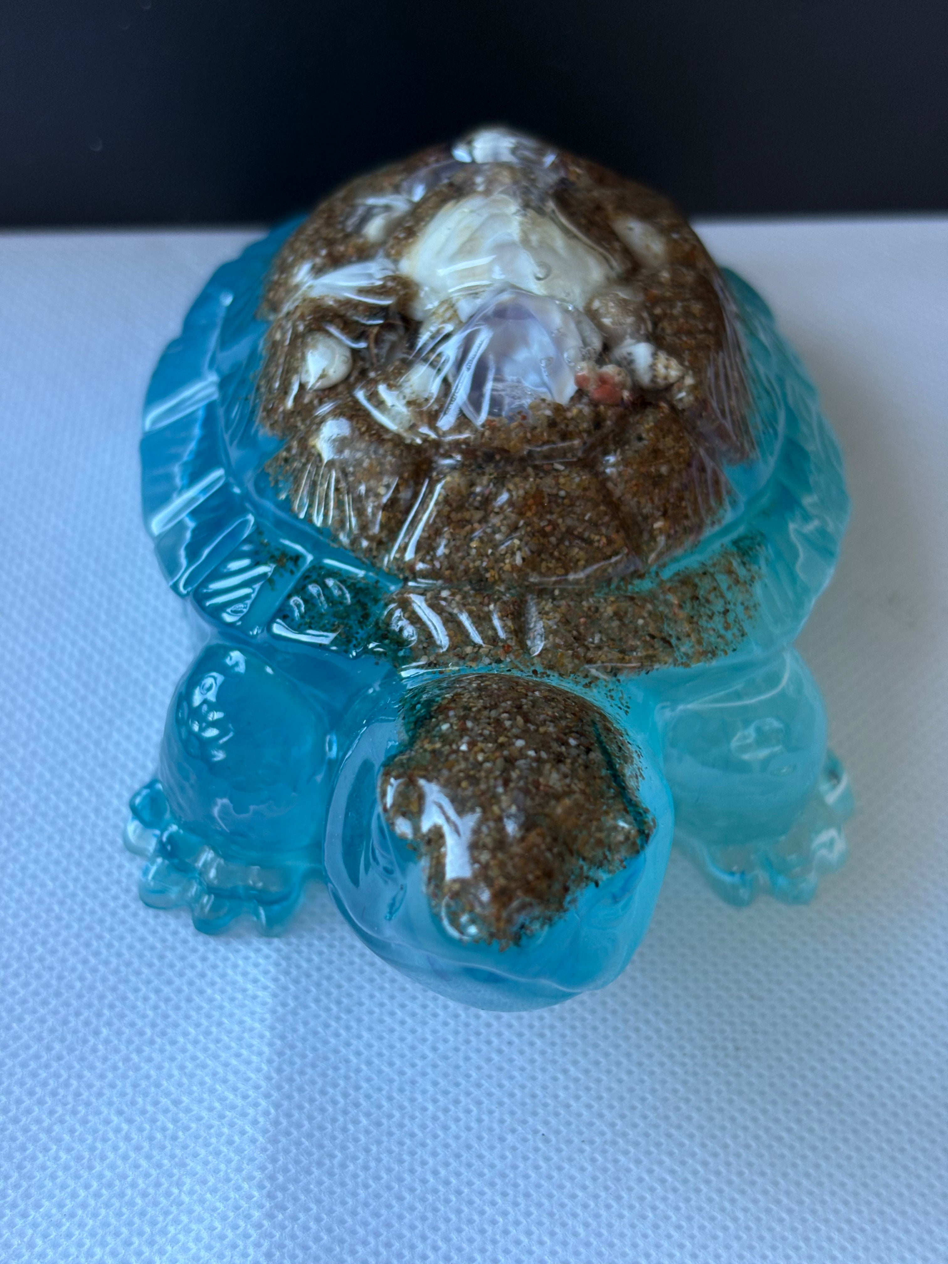 Tortue