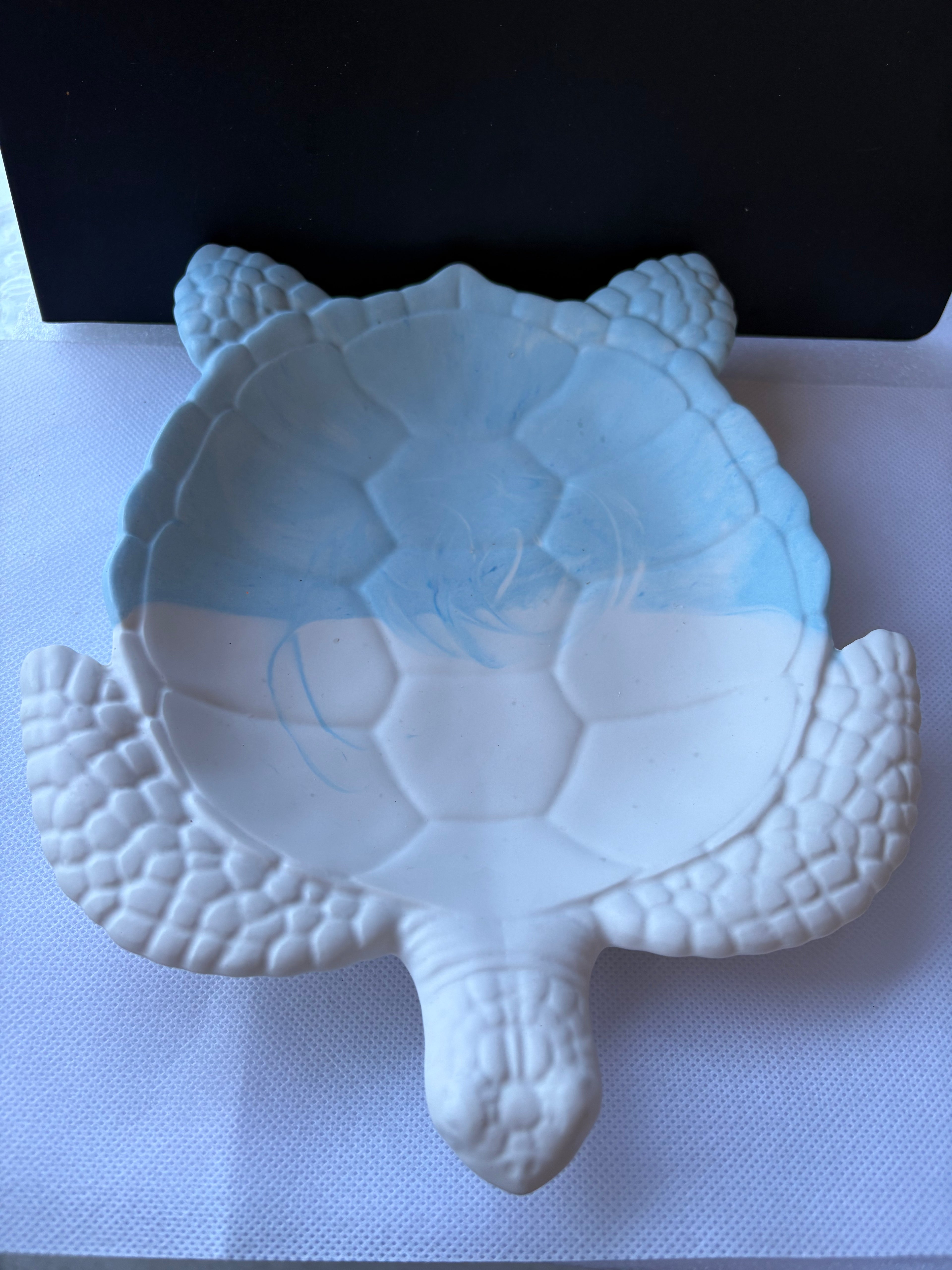 Plateau tortue