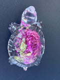 Magnet tortue